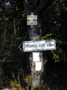 po600.jpg